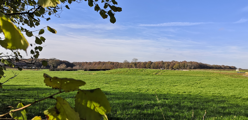 La CAMVS : meilleure intercommunalité de France de la biodiversité