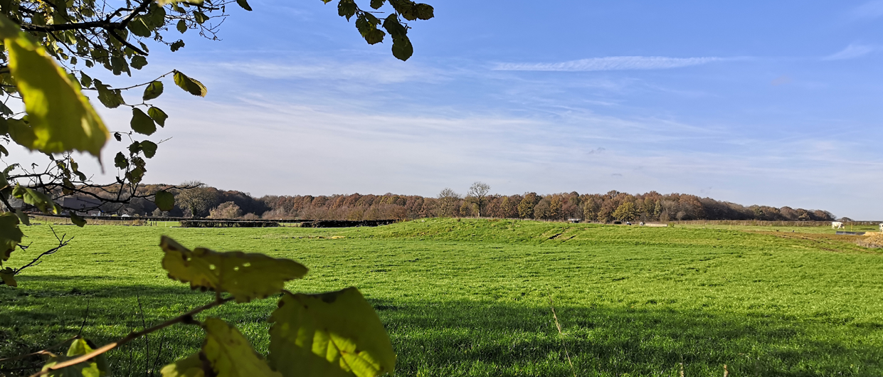 La CAMVS : meilleure intercommunalité de France de la biodiversité