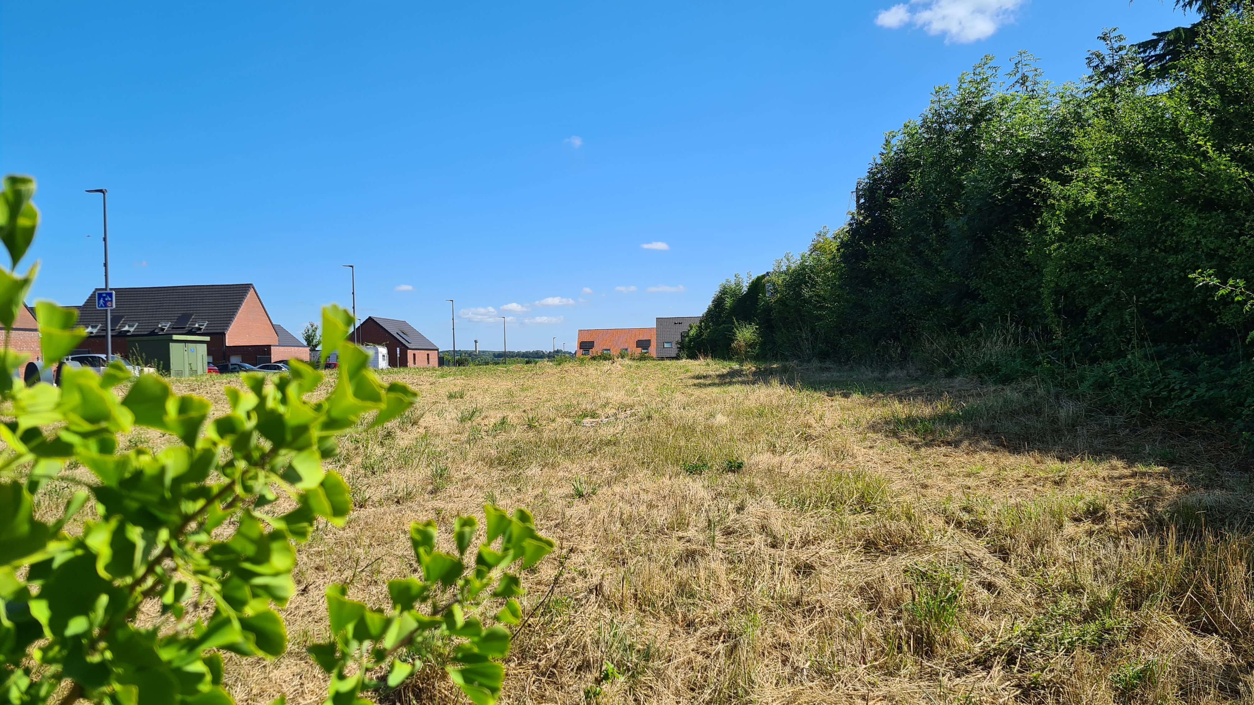 terrain à berlaimont 516m²